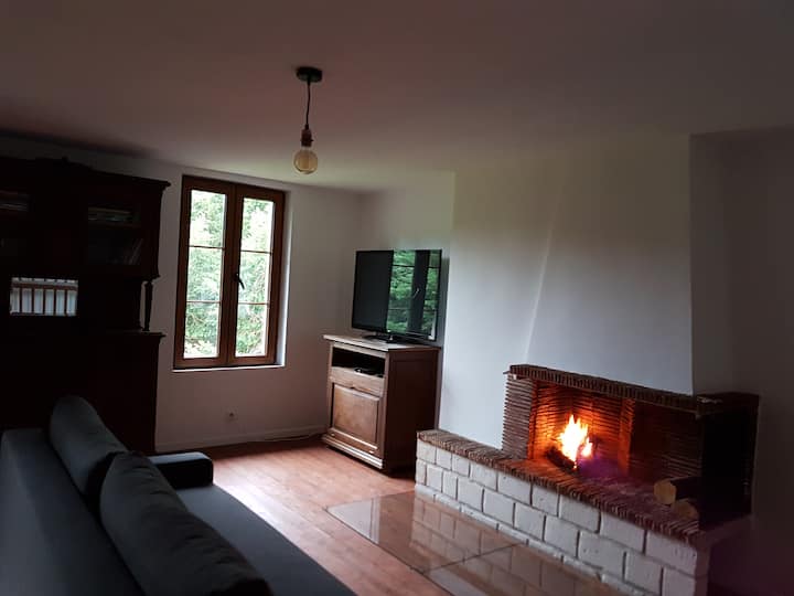 Lounge, fireplace, sofa bed, TV (Netflix)