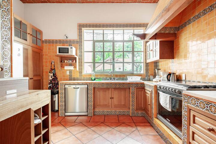 Casa Colonial con jardín en el Centro de Coyoacán gallery image 4