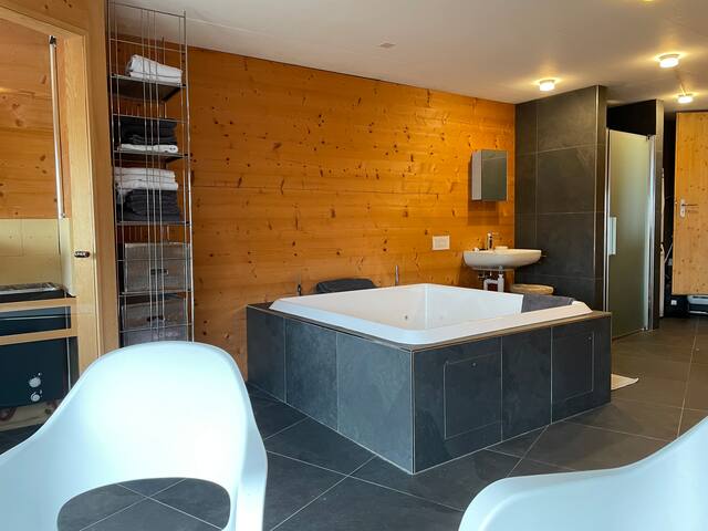 Alpine dream Chalet with Spa close to Lake Geneva gallery image 4