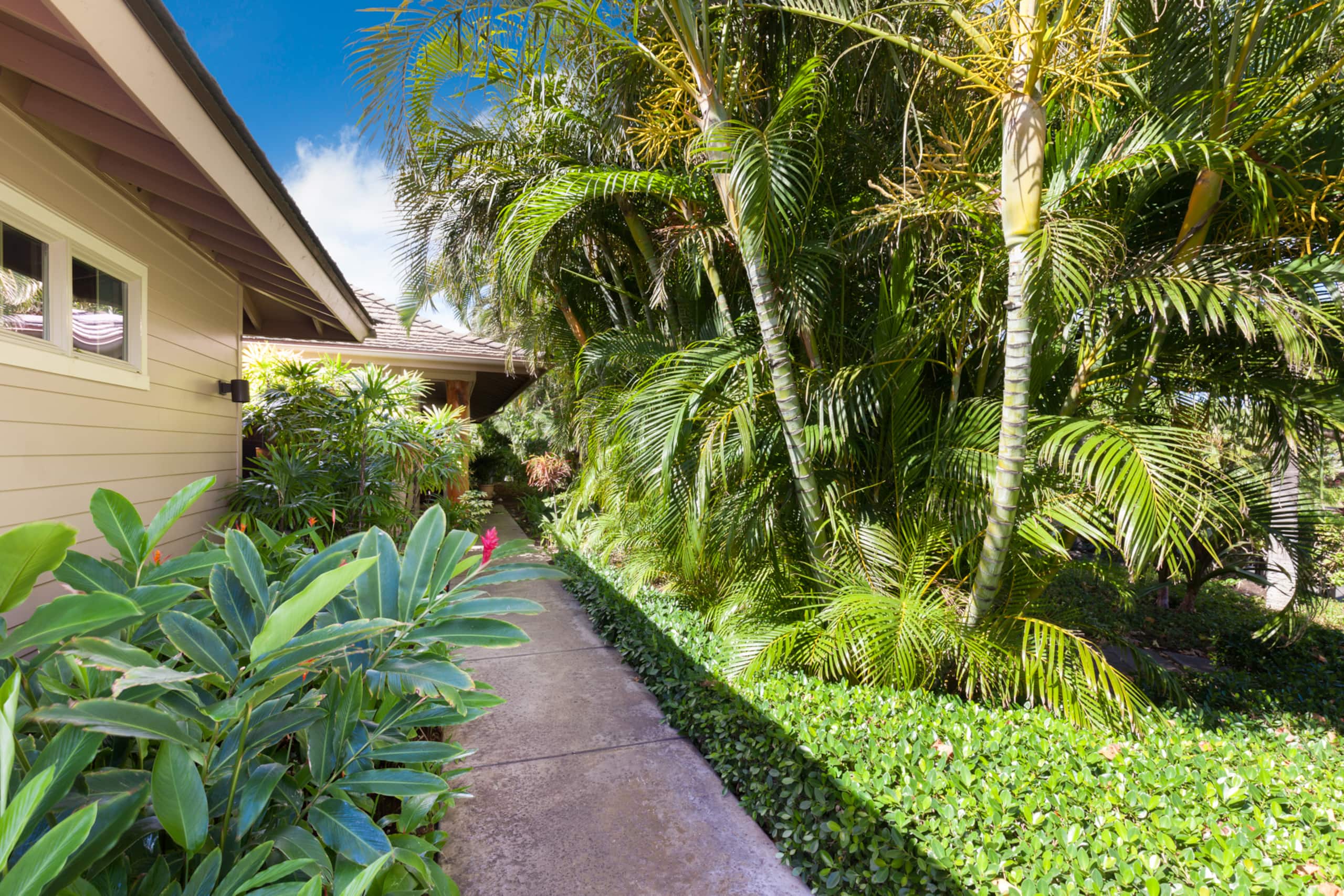 Home in Waimea · ★4.94 · 3 bedrooms · 5 beds · 3 baths - Image 50