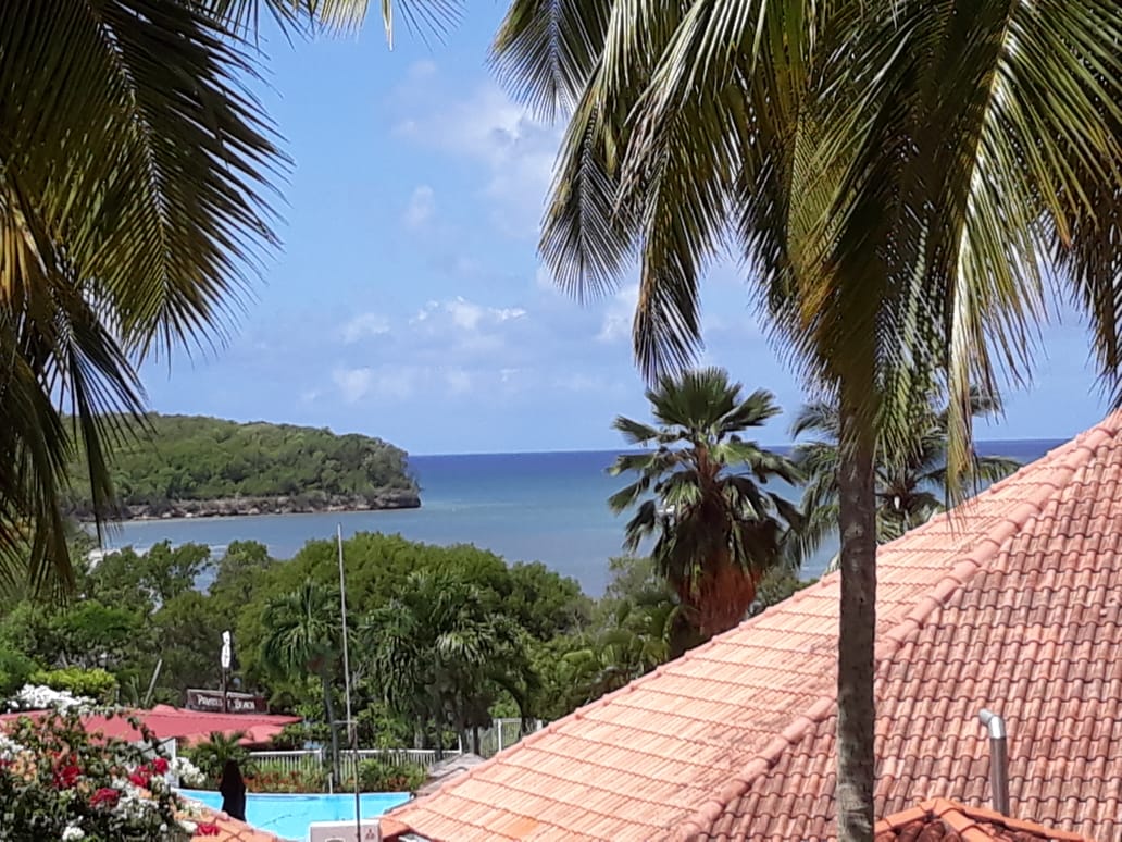 A panoramic view is captured, showcasing lush green hills meeting the blue sea under a clear sky. Palm trees sway gently in the foreground, while terracotta rooftops add warmth to the scene. The tranquil waters reflect the vibrant colors of the surrounding landscape.
