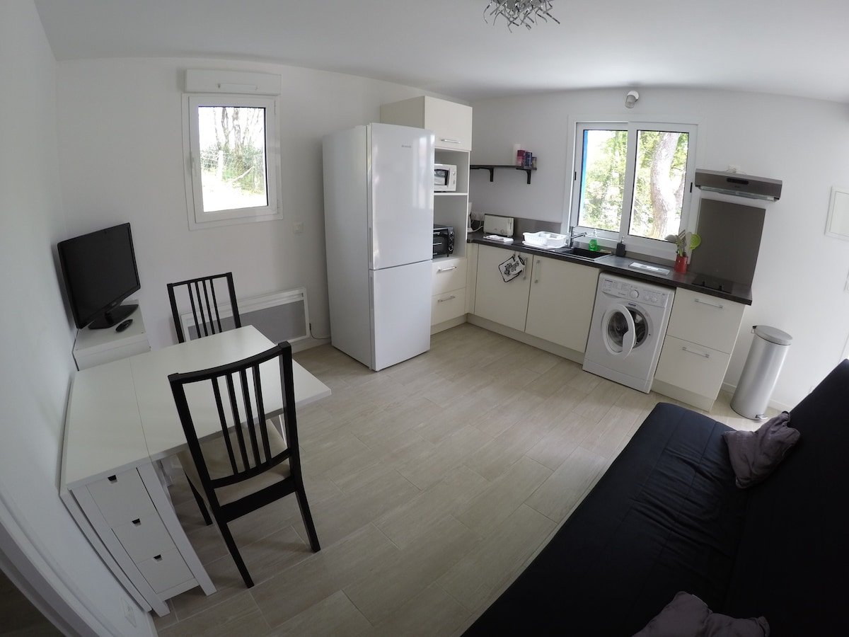 An open kitchen and living area features a spacious layout, including a black sofa bed, dining table with two chairs, and modern appliances such as a refrigerator, microwave, and washing machine. Natural light enters through two white-framed windows, enhancing the clean, bright aesthetic of the room.