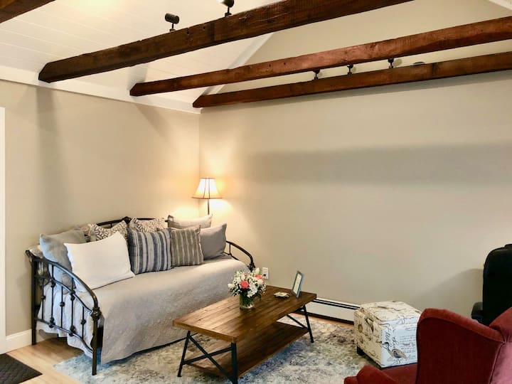 Daybed with real twin mattress to be used as an extra bed.