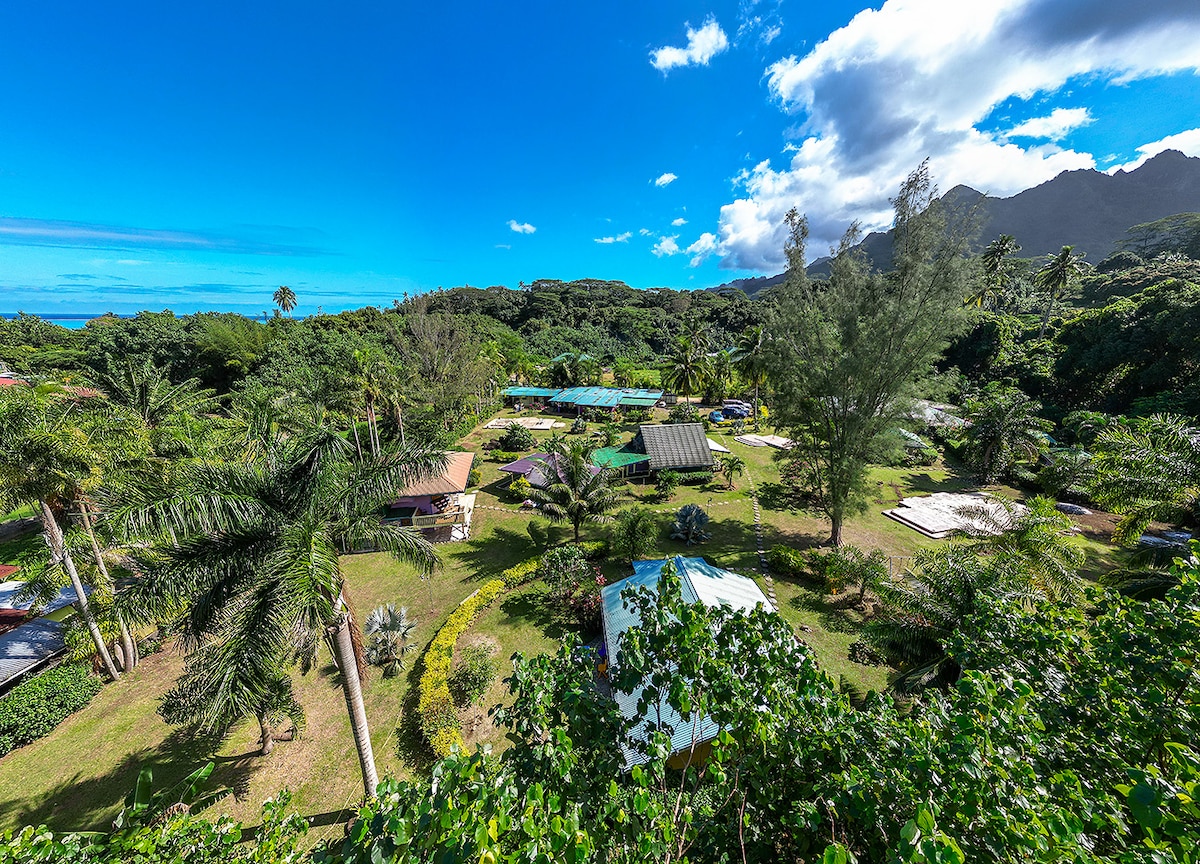 An expansive view of the lush property is captured, featuring a variety of tropical plants and trees. Several bungalows are positioned throughout the landscaped grounds, with a backdrop of blue skies and distant mountains.
