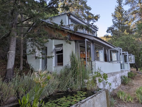 Tranquility in Troodos mountains