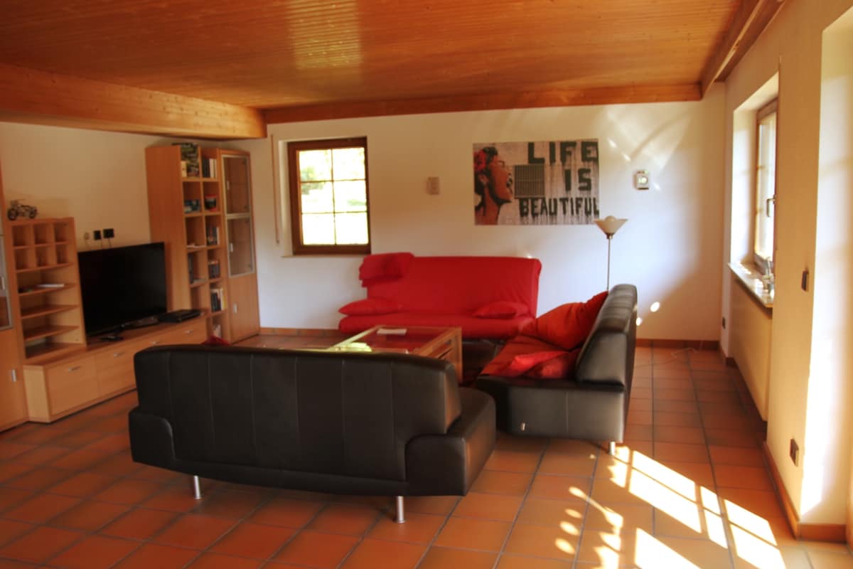 Amplia sala de estar/comedor con sofá cama