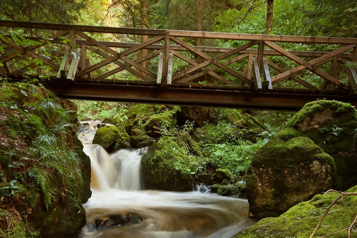 A wooden bridge spans a gently flowing stream, surrounded by lush greenery and moss-covered rocks. Sunlight filters through the trees, illuminating the natural landscape, with soft water currents creating a serene atmosphere.