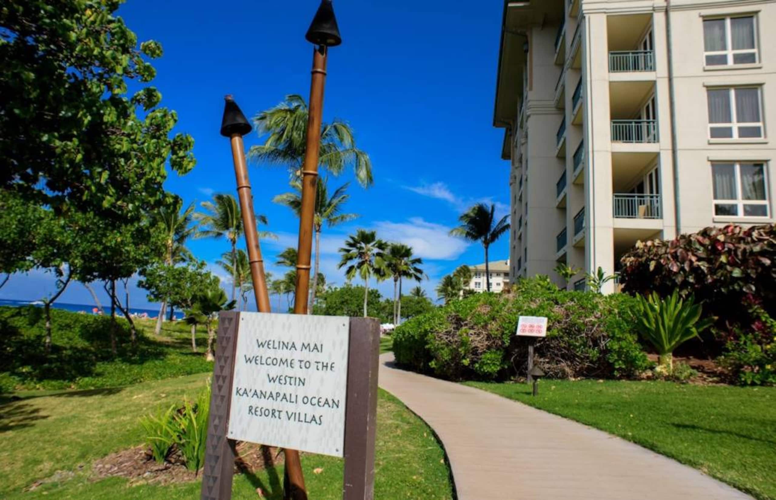 Condo in Lahaina · ★5.0 · 1 bedroom · 2 beds · 1 bath - Image 22