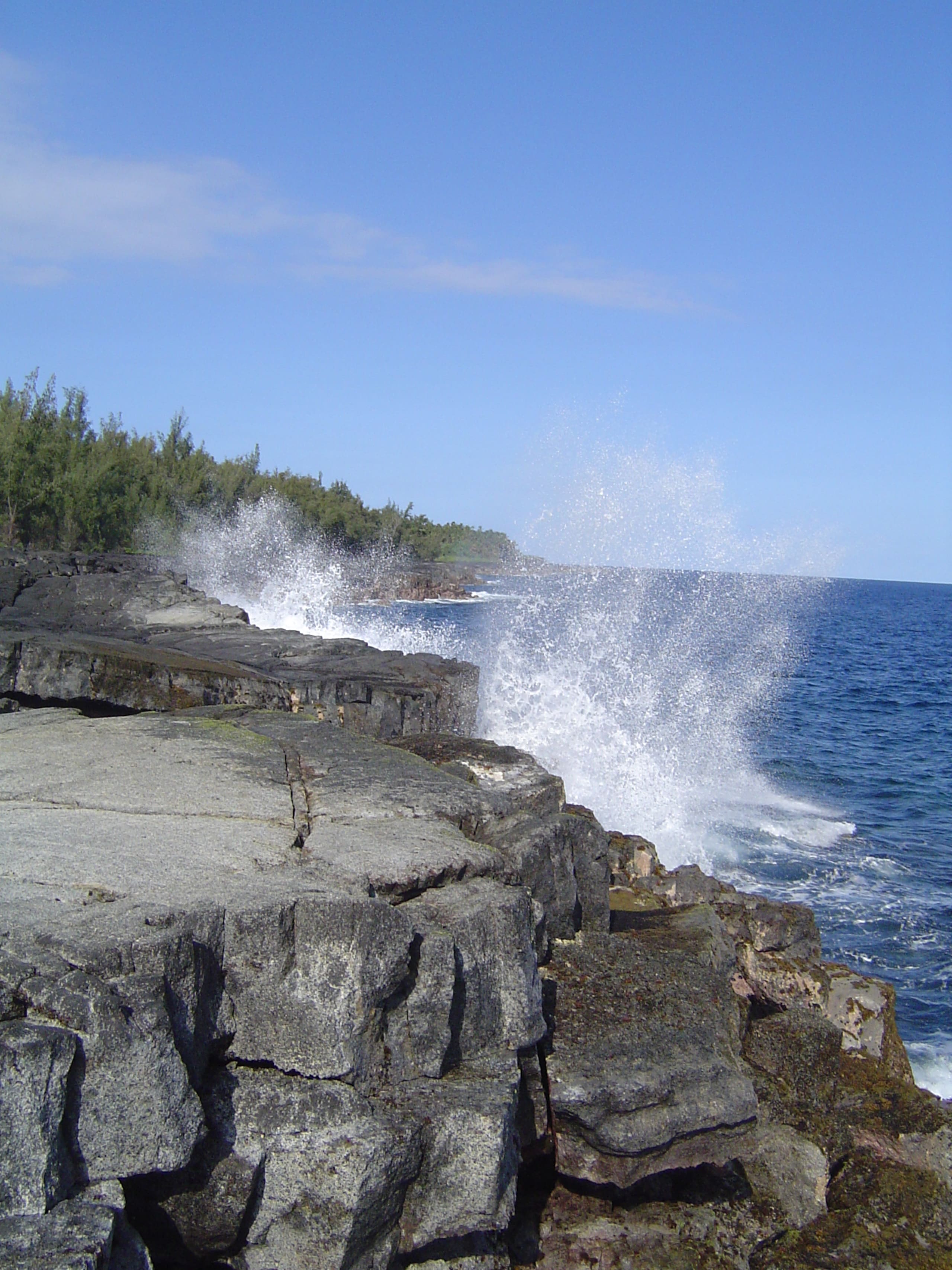 Your own private cottage- hear the ocean! - Photo 22