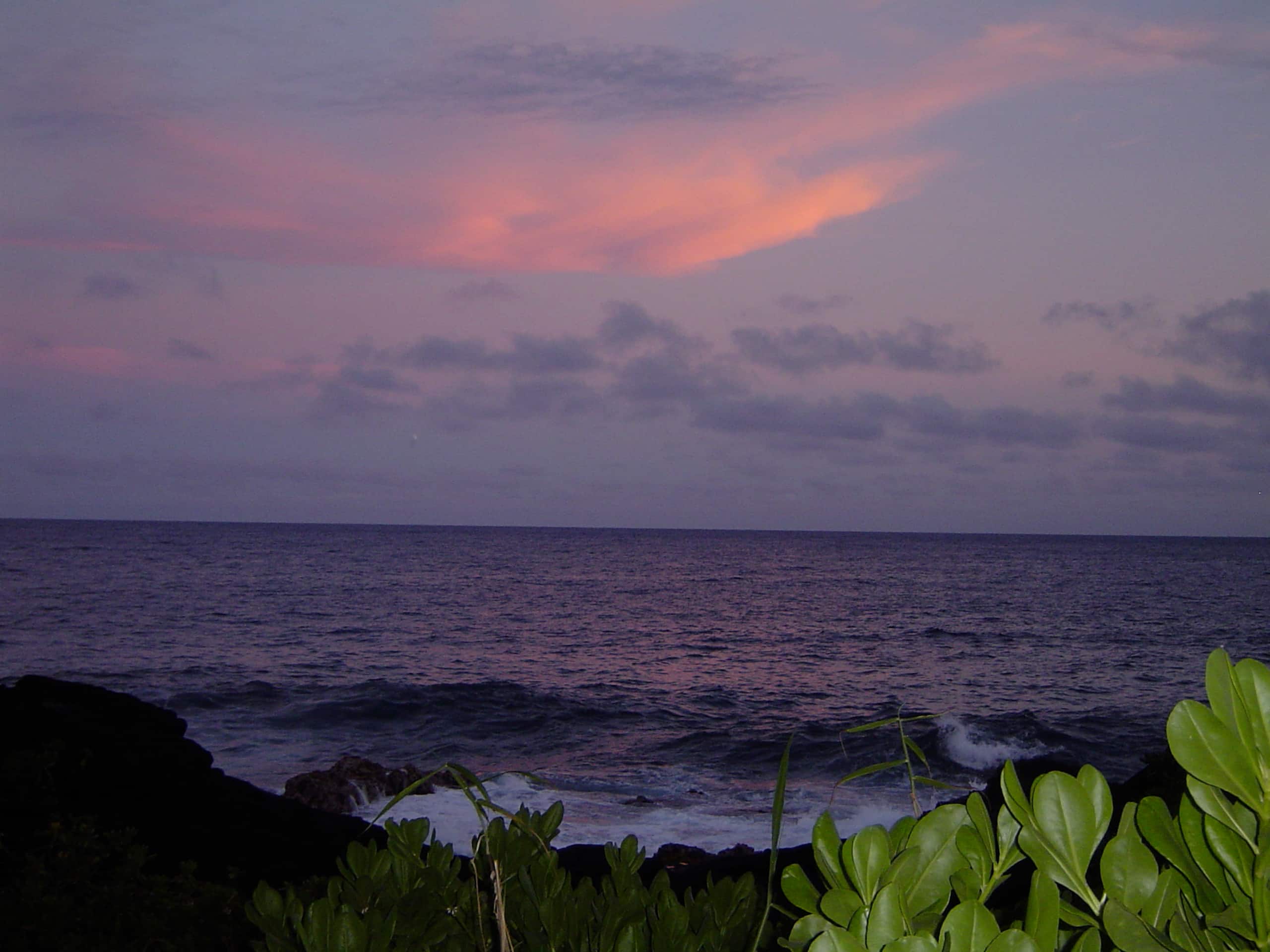Your own private cottage- hear the ocean! - Photo 20