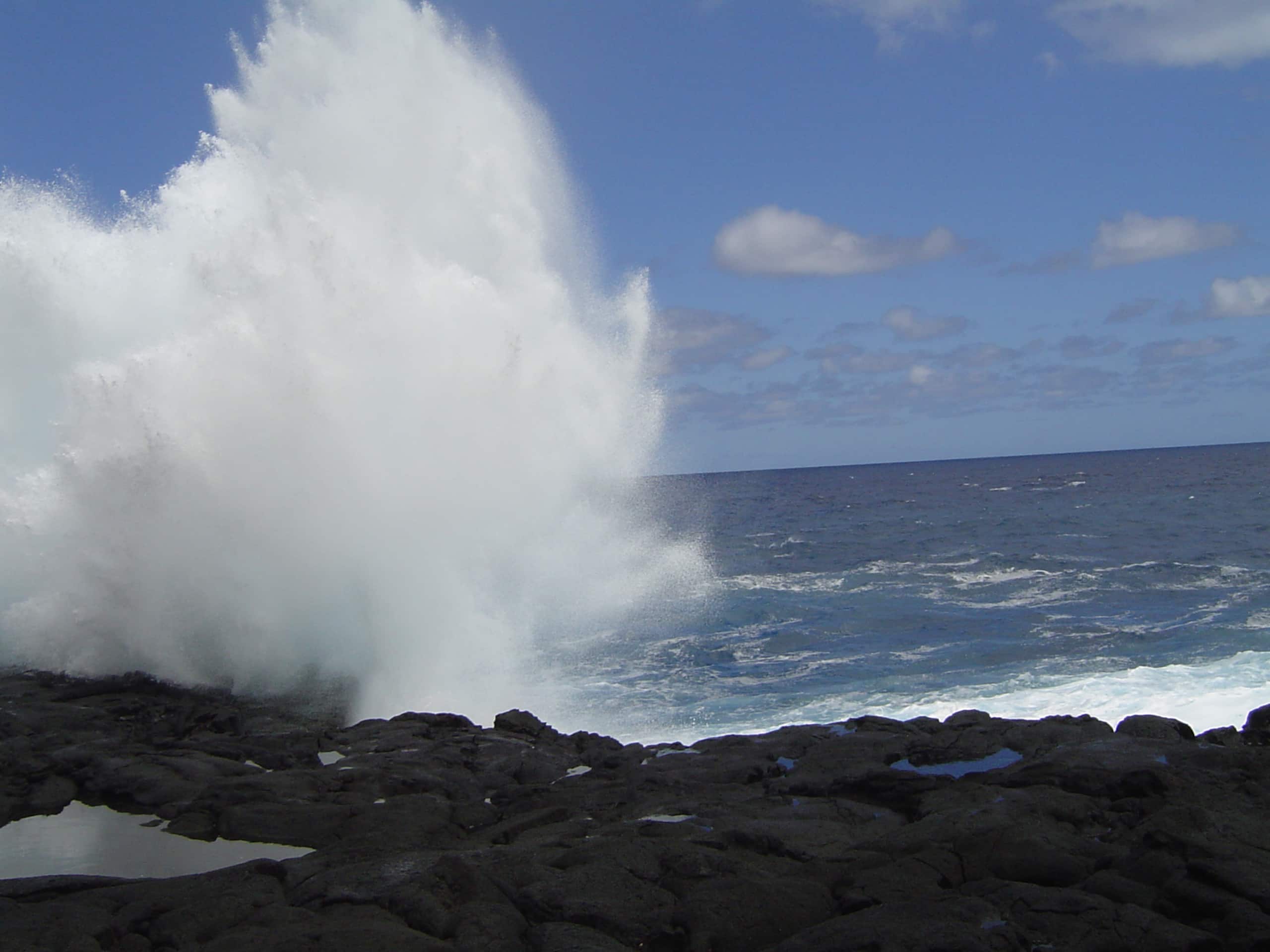 Your own private cottage- hear the ocean! - Photo 23