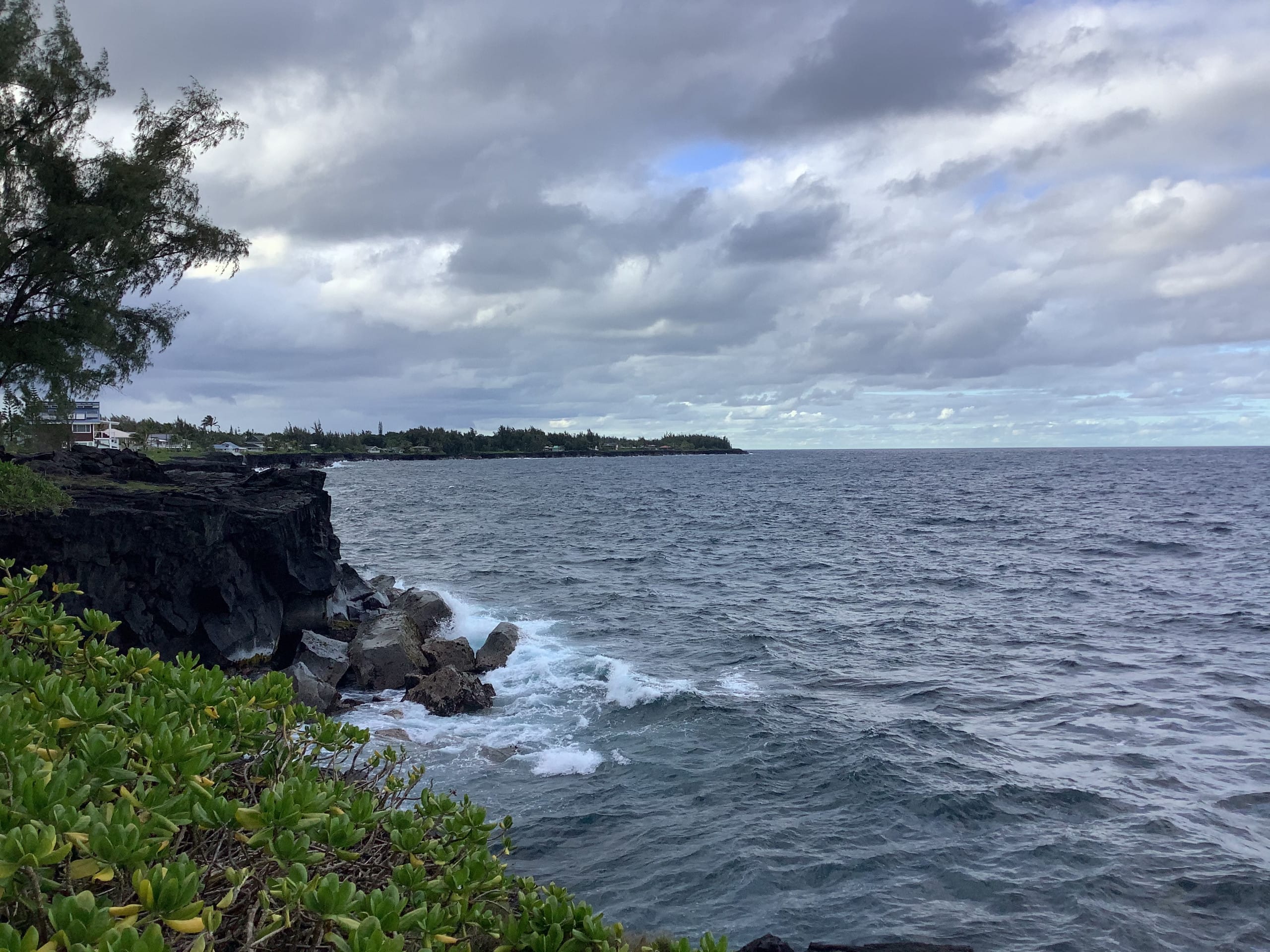 Your own private cottage- hear the ocean! - Photo 8