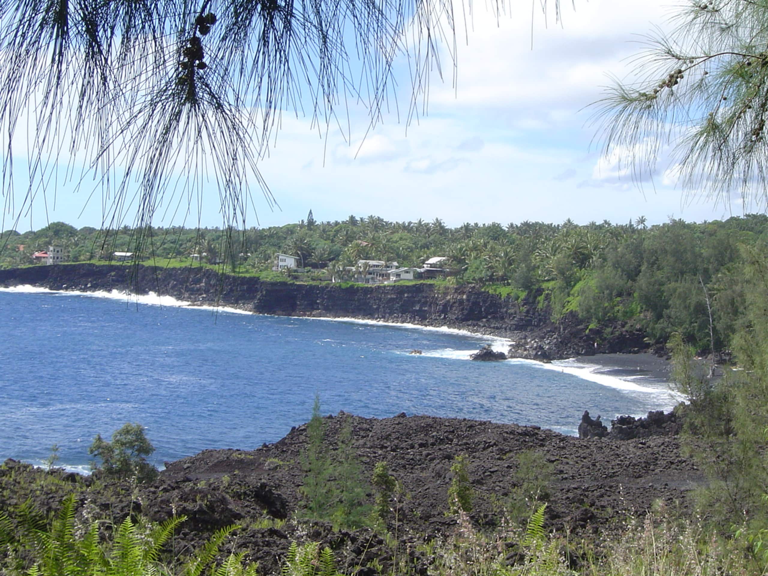 Your own private cottage- hear the ocean! - Photo 11