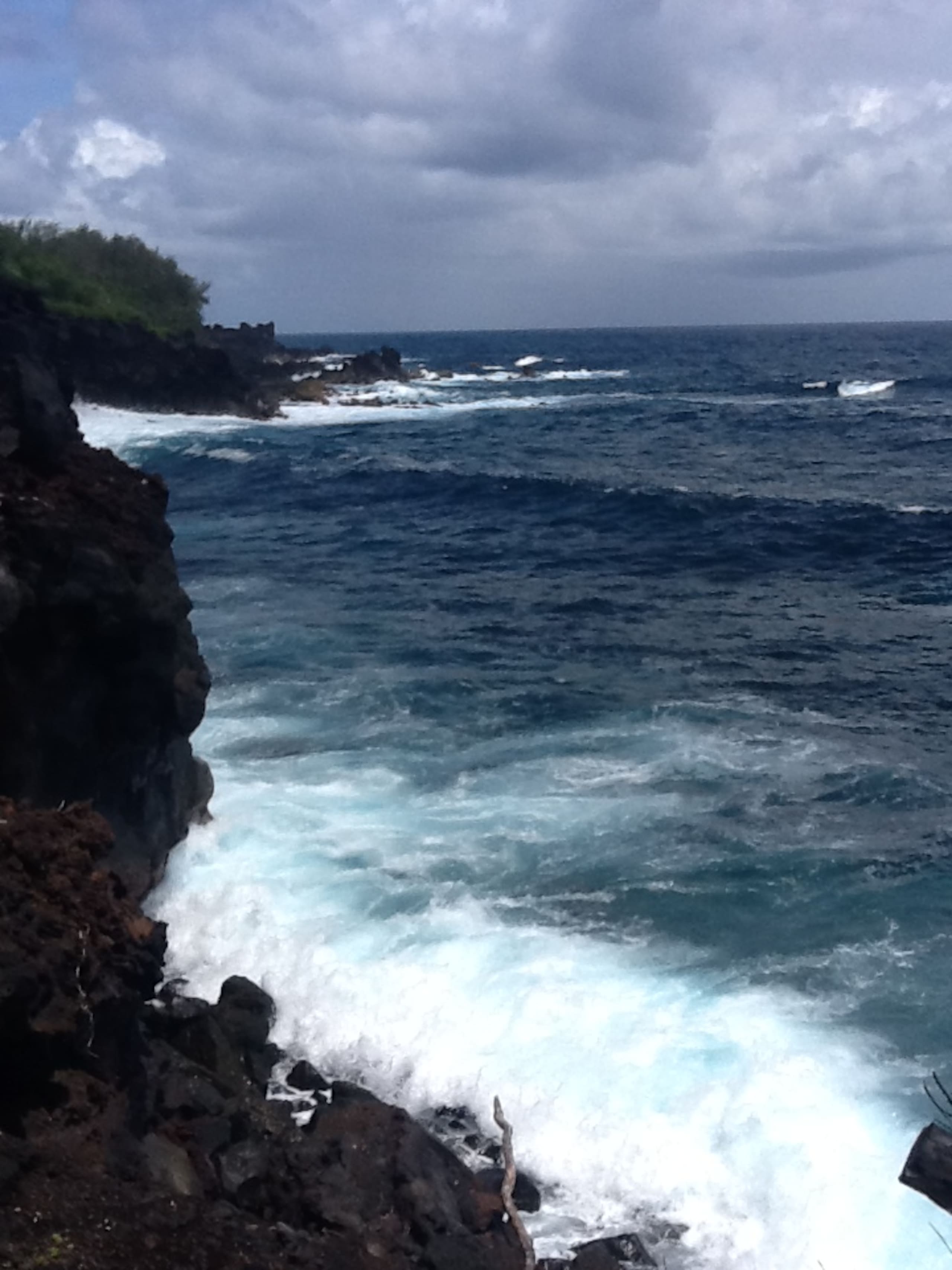 Your own private cottage- hear the ocean! - Photo 12