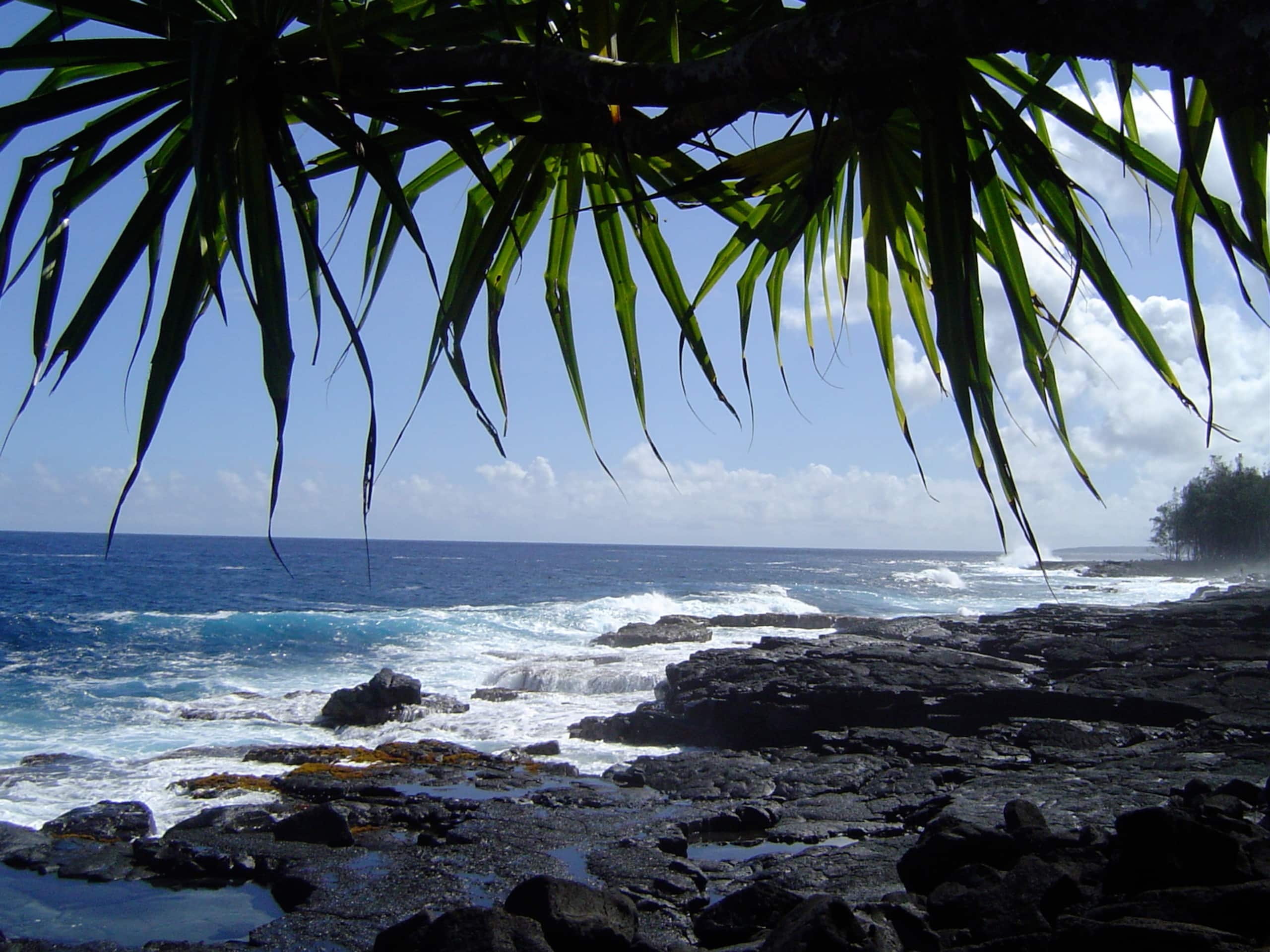 Your own private cottage- hear the ocean! - Photo 15