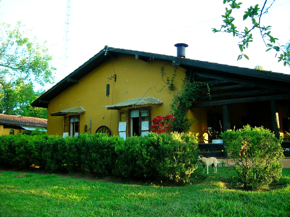 A charming yellow house is surrounded by well-maintained green shrubs and trees. A covered porch extends across the front, with ample seating visible. A friendly dog is seen in the grass, contributing to a welcoming outdoor environment.