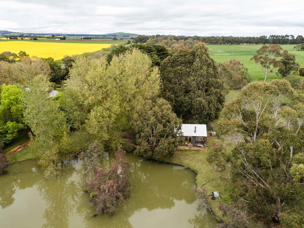 An aerial view captures a small cabin surrounded by lush trees along the edge of a tranquil pond. Vibrant yellow fields stretch into the background, contrasting with the green landscape of rolling hills, creating a serene connection to nature.