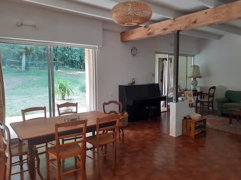 At the fox's stronghold