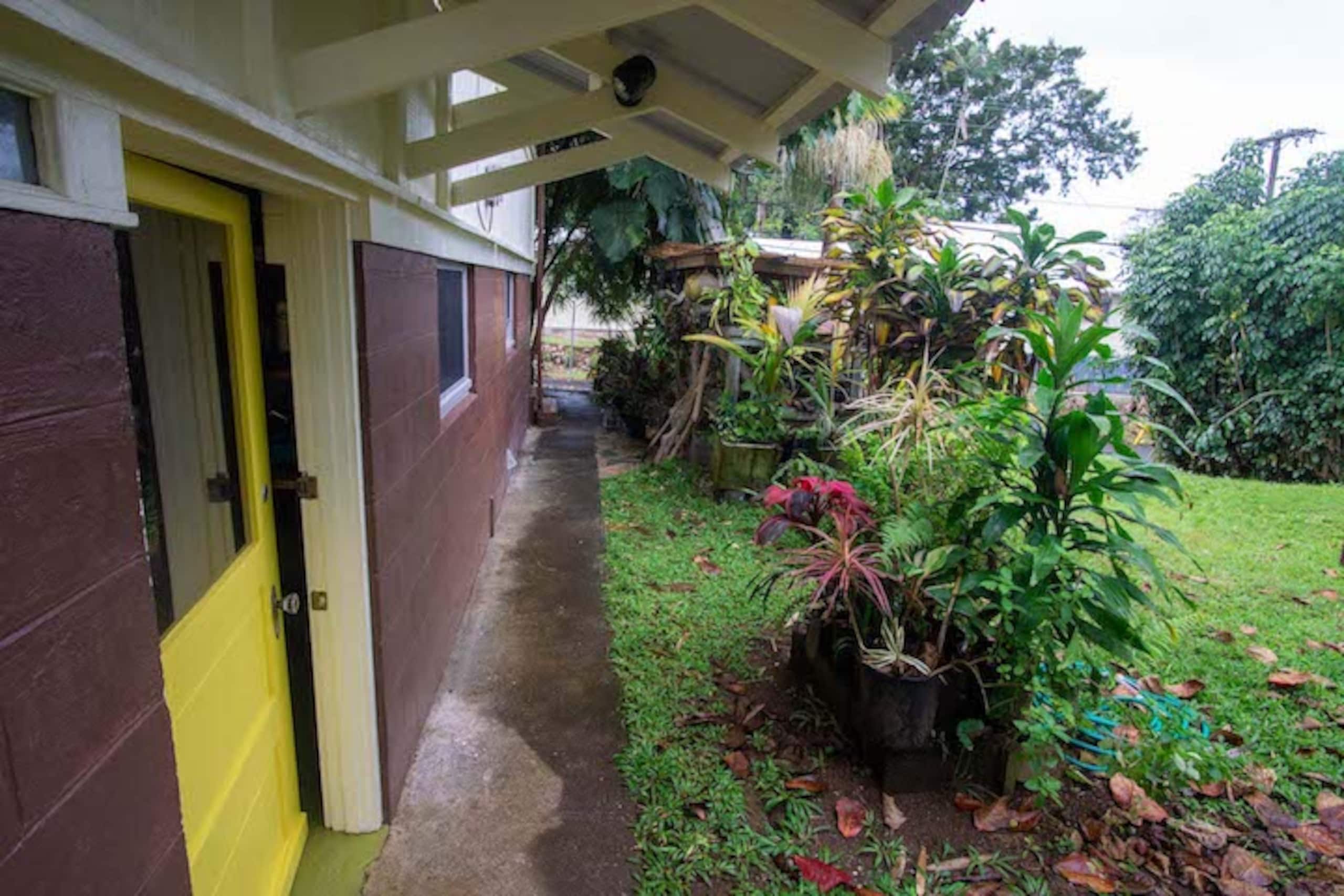 Hilo Downtown Retreat - Photo 13