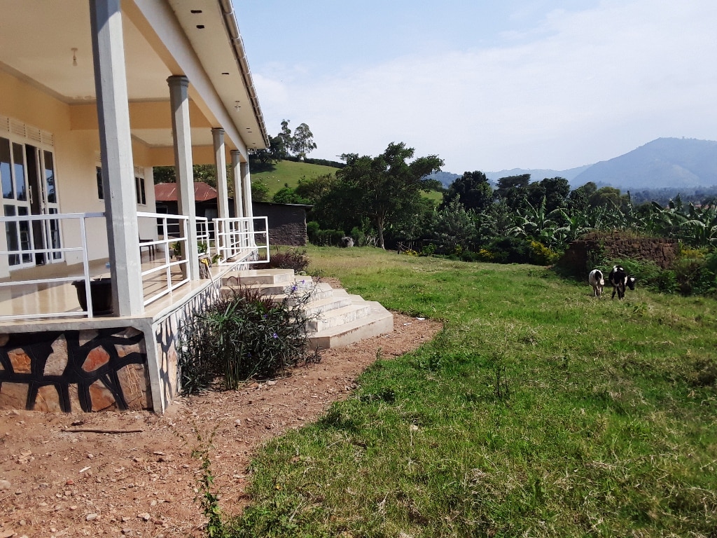 A spacious farmhouse is seen from the side, featuring a wide porch and stone steps leading to a grassy area. Cows graze nearby, with lush greenery and distant hills visible in the background, creating a serene rural setting.