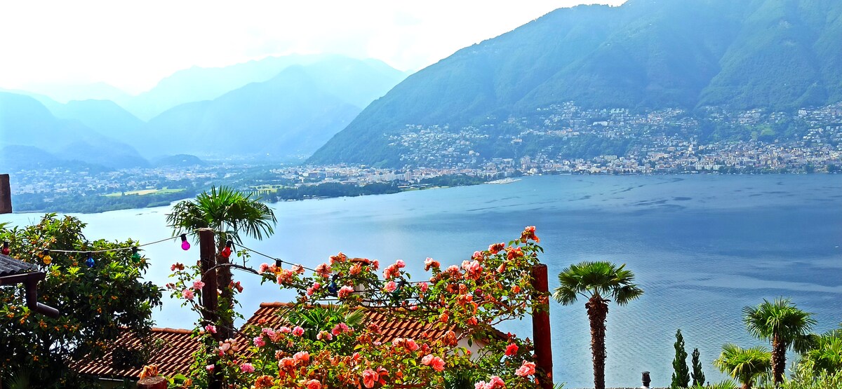 A sweeping view of Lago Maggiore reveals the tranquil water reflecting the surrounding mountains. Colorful flowers and palm trees are framed in the foreground, adding natural beauty to the landscape. The distant shoreline showcases charming village architecture nestled against the serene lake.