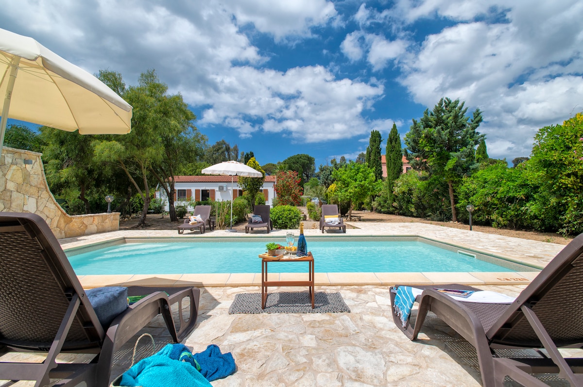 A serene outdoor space is portrayed, featuring a saltwater pool at the center surrounded by lush greenery. Lounge chairs are positioned nearby, with sun umbrellas offering shade. A small table holds refreshments, inviting relaxation under the partly cloudy sky.
