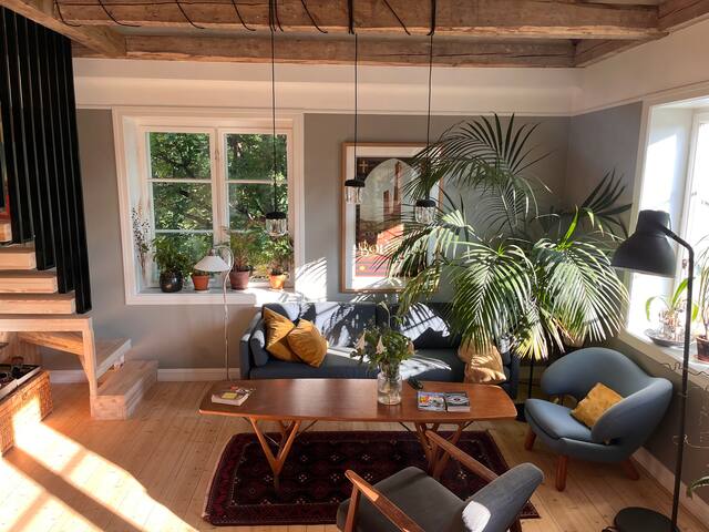 Unique spacious apartment in the middle of Oslo.