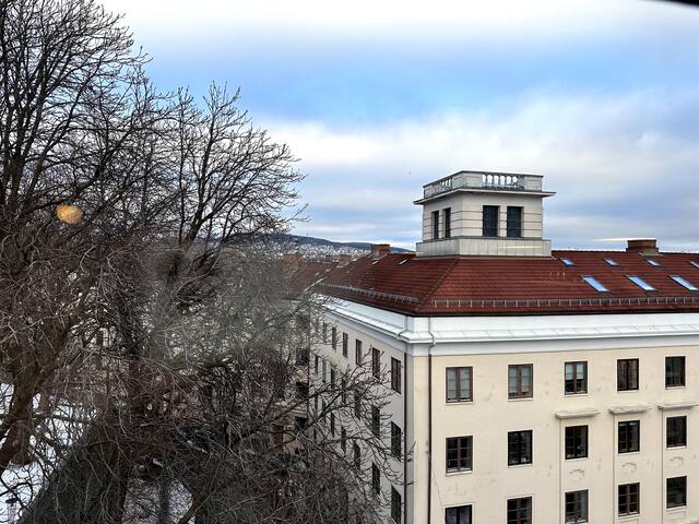 Unique spacious apartment in the middle of Oslo. gallery image 2