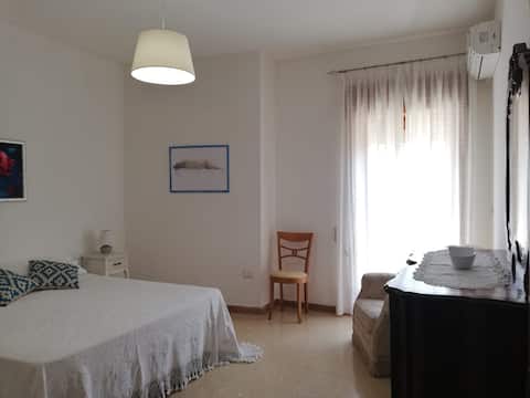 Artist's home