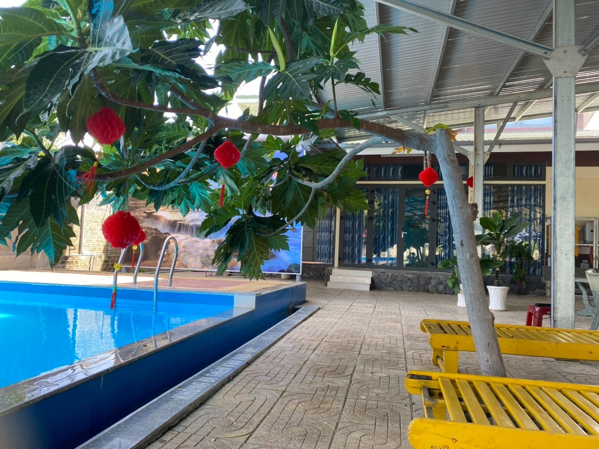 A swimming pool is framed by a covered terrace, with yellow lounge chairs placed nearby. Tropical plants with red decorations provide a vibrant touch against the serene pool waters, while large windows reflect the surrounding outdoor area.