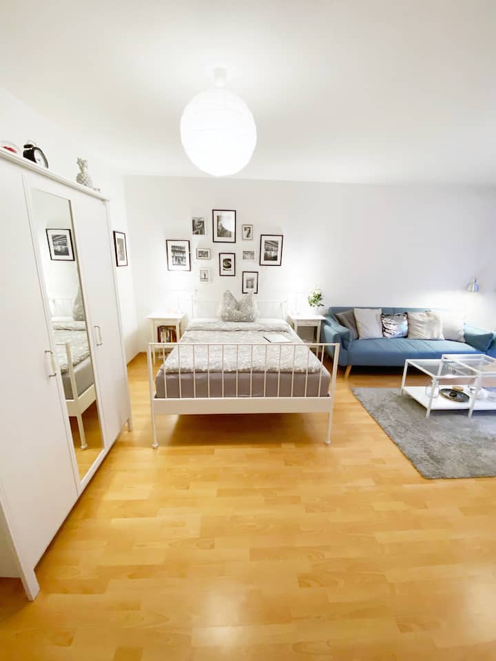 Вашата прекрасна огромна дневна соба со голем телевизор (Netflix), голема трпезариска маса, двоен кревет, кауч за спиење итн...