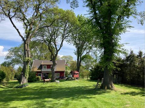 The swedish house at the Bodden