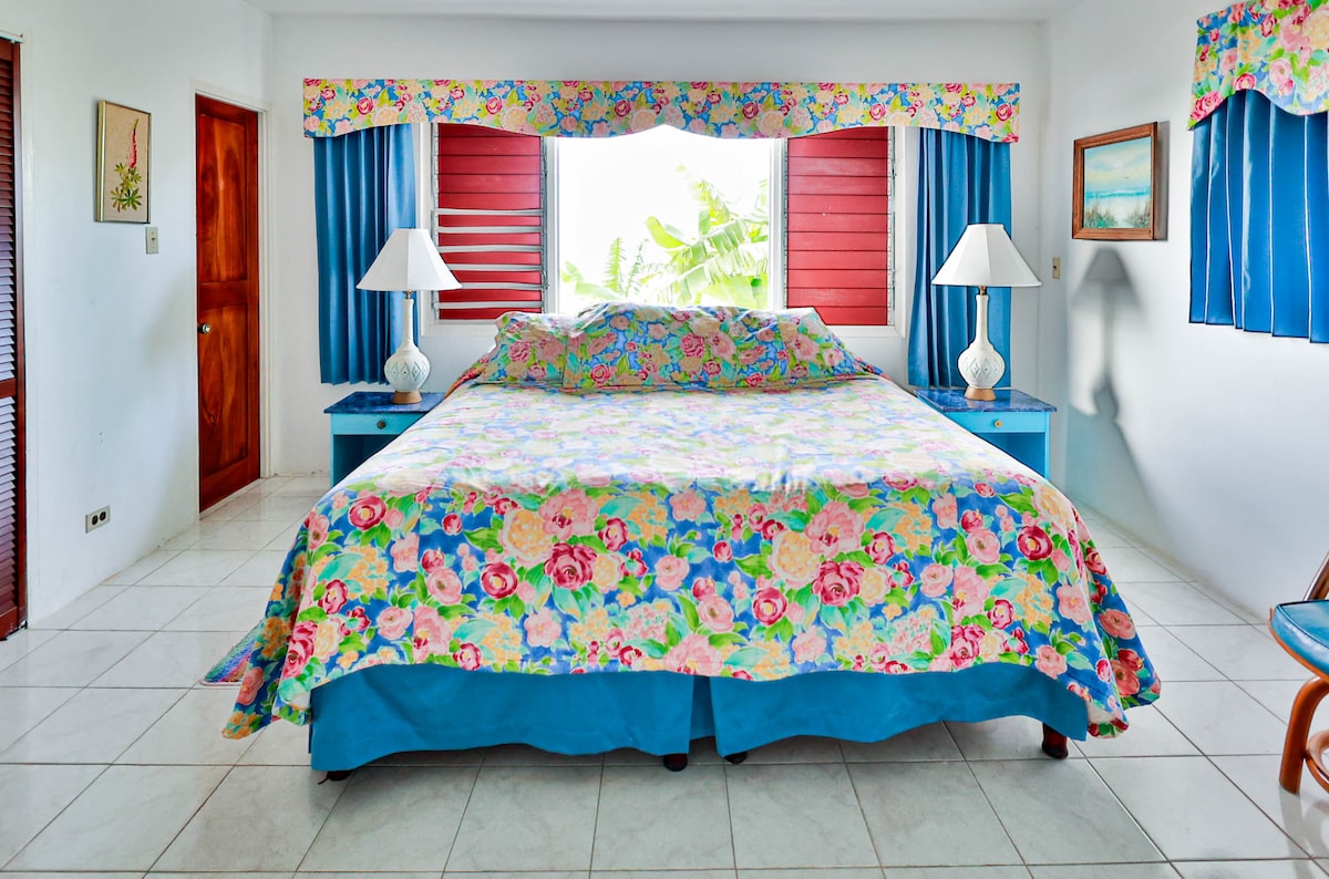 Master Bedroom Right Wing