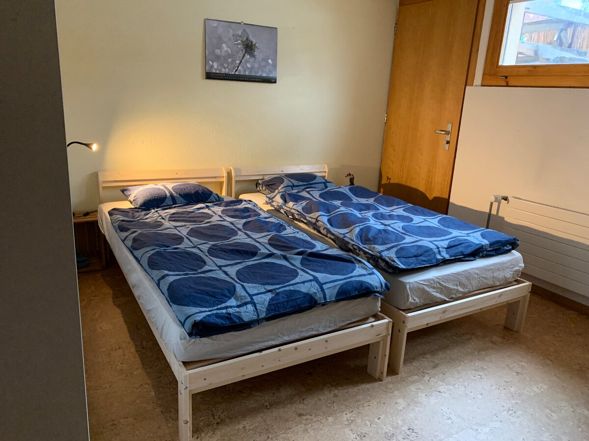 The room features two individual beds positioned side by side, each covered with a blue and white patterned bedding. A bedside lamp provides soft light, while a framed photo hangs on the wall above the beds. A window allows natural light to fill the space.