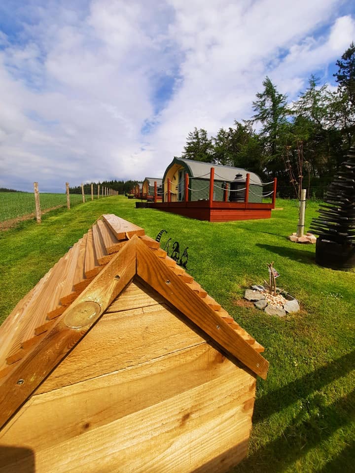 A view of two glamping pods set on a grassy area, with wooden decking in front of each. Lush greenery surrounds the pods, and a wooden structure is positioned in the foreground, enhancing the natural landscape under a partly cloudy sky.