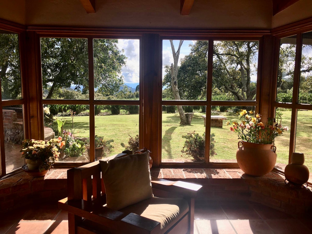 A sunlit sitting area features large glass windows framing a view of lush greenery and distant mountains. Potted plants add color to the scene, while a cozy chair offers a quiet spot for relaxation. Bright daylight pours into the space, highlighting the natural surroundings.