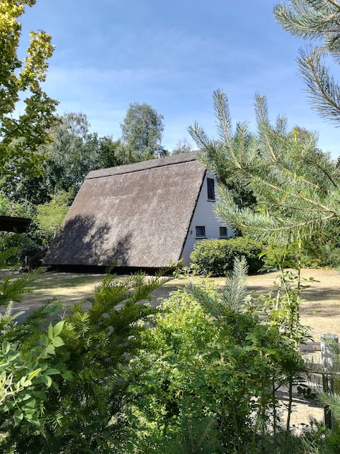 „DIE ELF“ Thatched cottage in the countryside