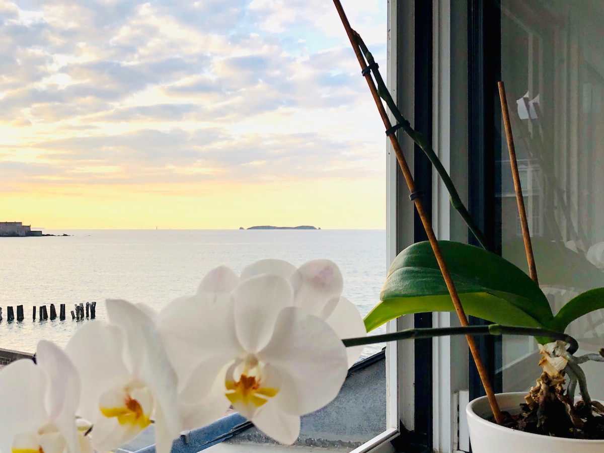 A white orchid is positioned in front of a large window, framing a serene view of the calm sea and distant island. Soft pastel colors of the sky reflect on the water, creating a peaceful atmosphere that enhances the connection to nature.