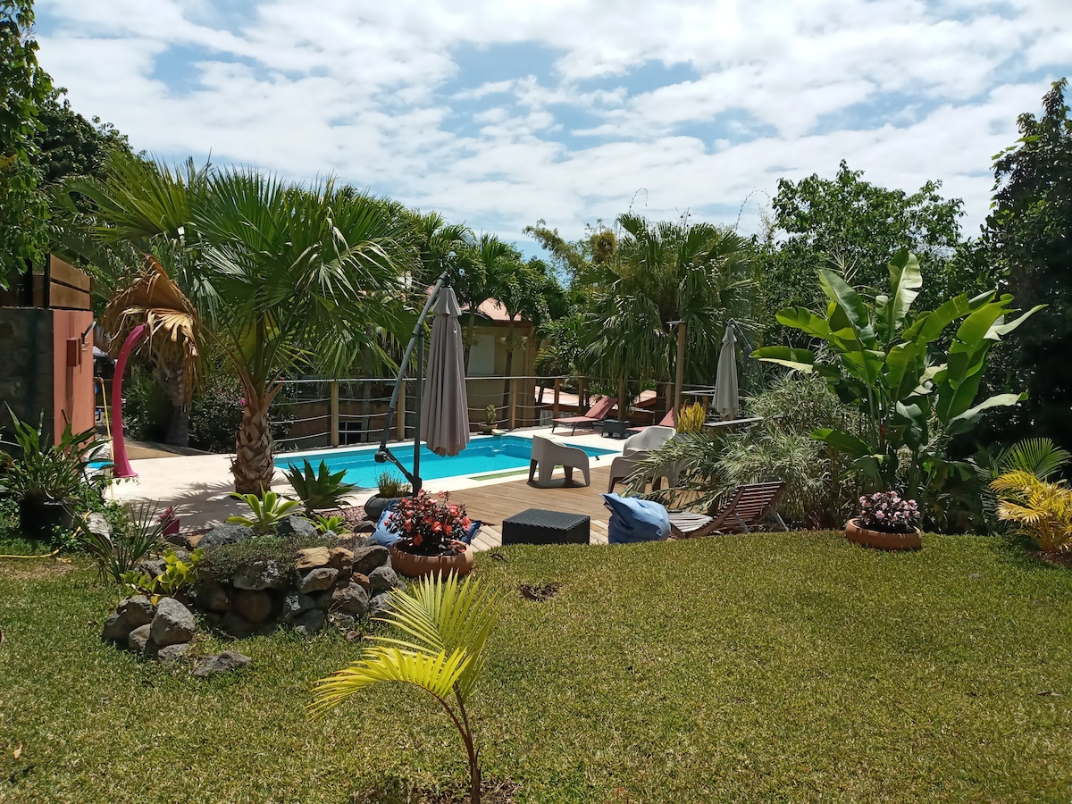 A lush garden area surrounds a serene swimming pool, complemented by vibrant tropical plants. Comfortable lounge chairs are arranged near the water, with shaded umbrellas providing relief from the sun. Stone pathways lead to various seating areas, creating a relaxing outdoor environment.