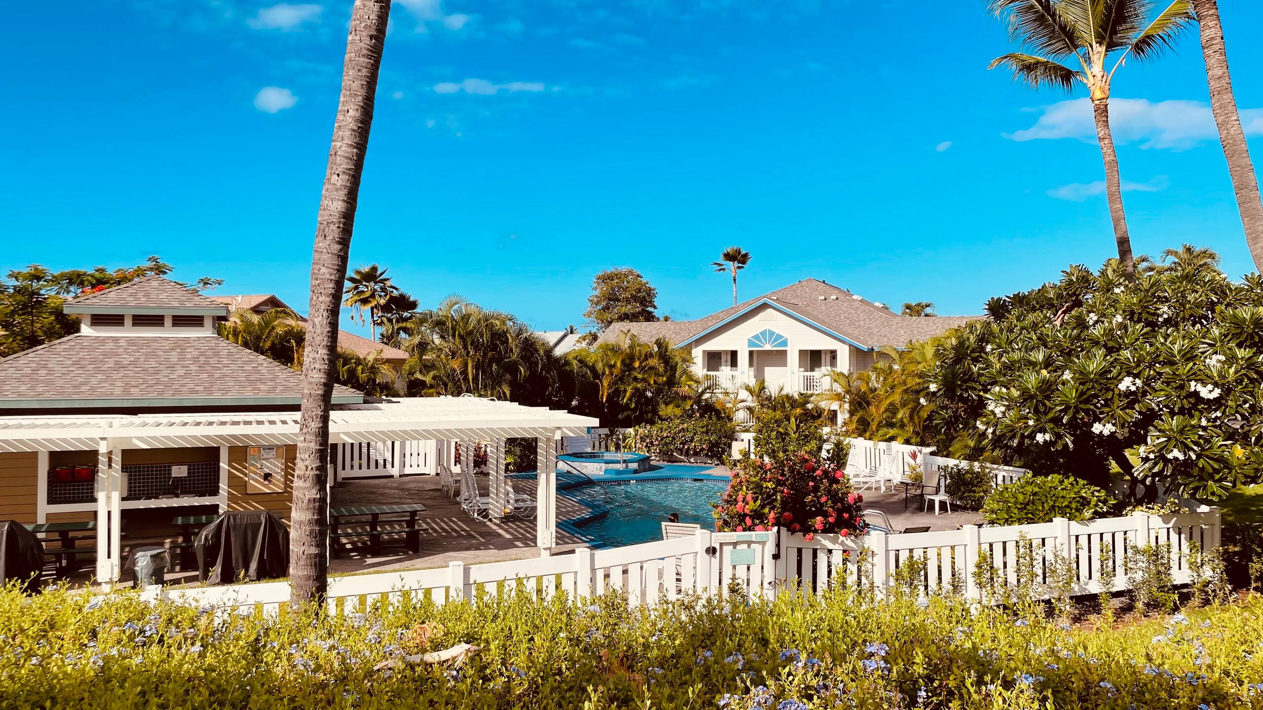 Condo in Kailua-Kona · ★4.67 · 2 bedrooms · 3 beds · 1 bath - Image 40