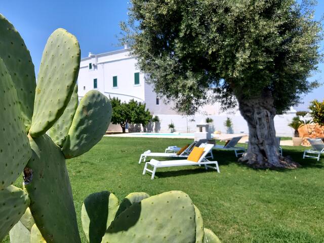 Masseria Mammella with pool and by the beaches gallery image 5