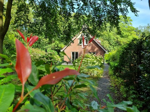 Beautiful 8-person family bungalow on the Veluwe