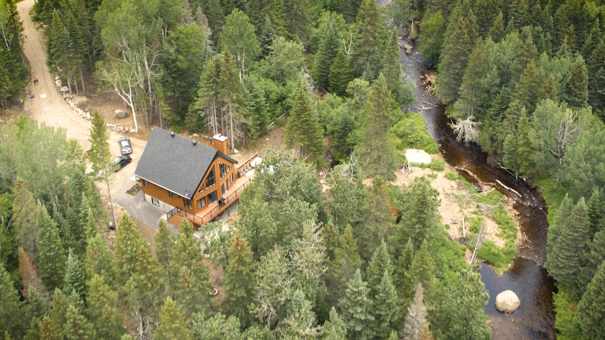 An aerial view showcases a chalet nestled among dense green trees, bordered by a winding river. The structure features a sloped roof and spacious deck. The surrounding landscape includes large rocks and a natural flow of water, creating a serene environment.