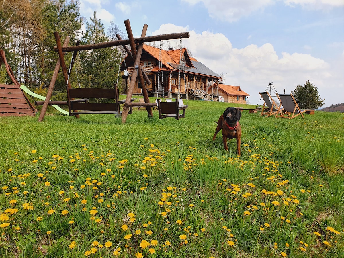 A grassy area is adorned with bright yellow dandelions, surrounded by wooden swings and reclining chairs. In the foreground, a dog is playing, while in the background, a wooden chalet is visible, framed by lush trees under a partly cloudy sky.