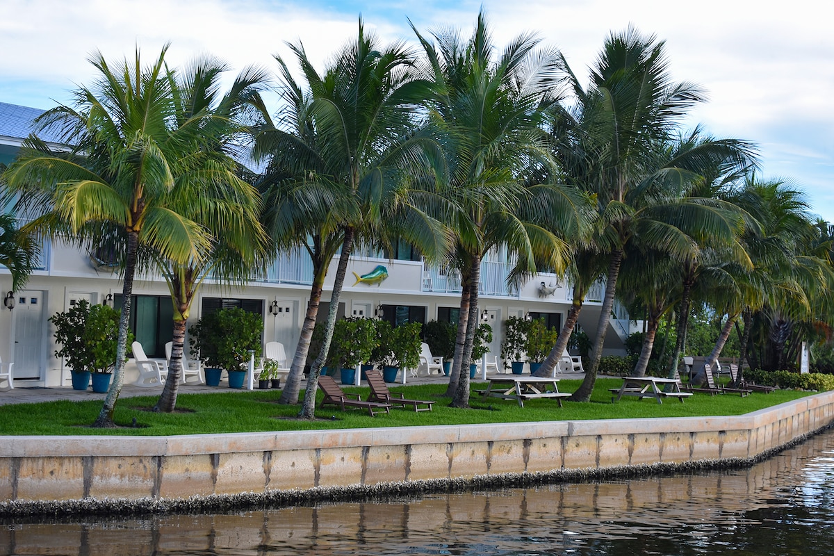 A waterfront view showcases the exterior of the property, featuring a row of lush palm trees and well-manicured grass. Sun loungers and shaded seating areas are visible along the water's edge, providing a relaxing space for guests to unwind.