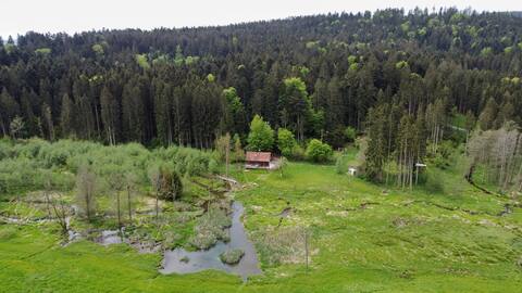 Natur pur - Haus im Wald am Biberdamm