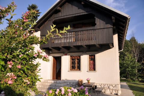 Charming Vacation House by the river in Preddvor