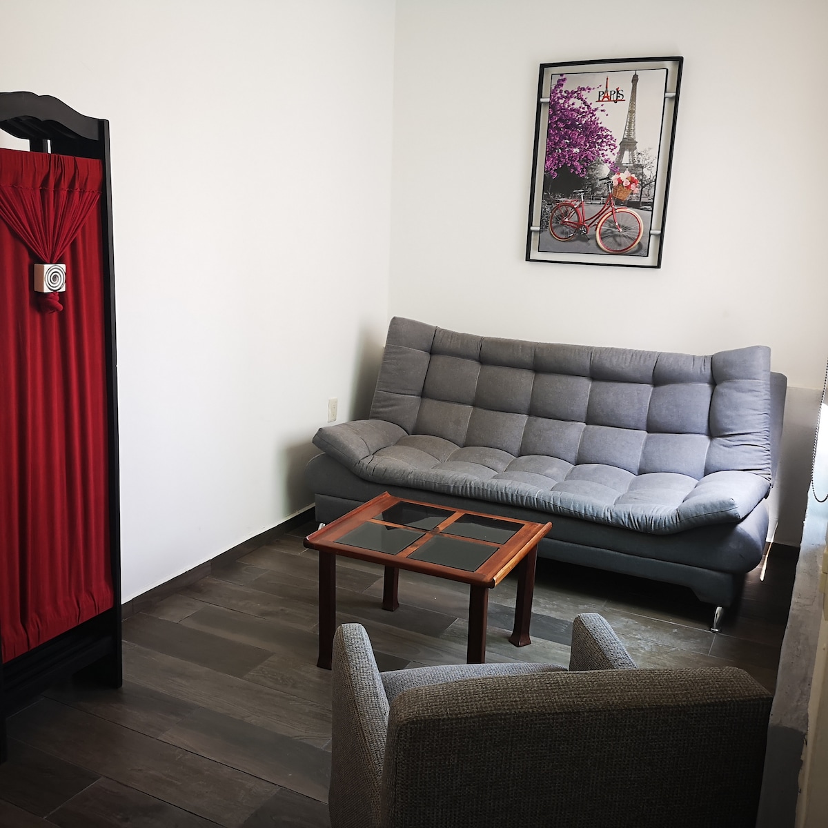 Მისაღები ოთახი ვენტილატორით ,  გასაშლელი დივნითა და საკუთარი სააბაზანოთი