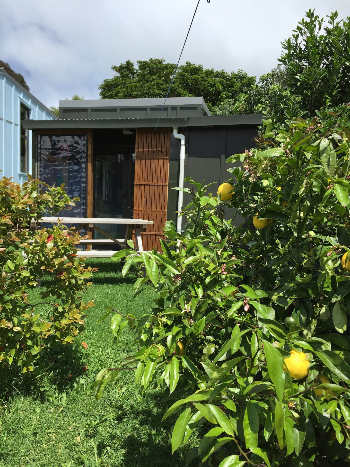 Kaingaiti - Chalet - Single Beds, Shower & Toilet. 3