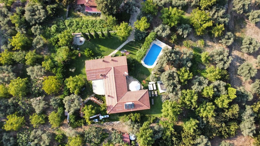 listing_image